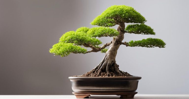 Nawóz do bonsai: Jak wybrać i przeznaczyć 250 ml, by zobaczyć efekt?