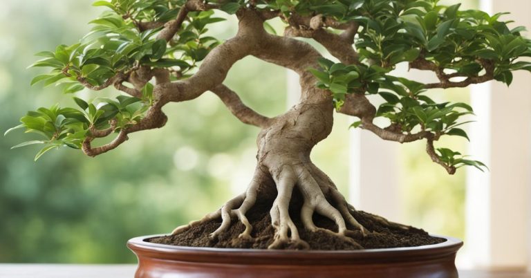 Fikus benjamin bonsai: Poradnik pielęgnacji i sekrety bonsai z fikusa.