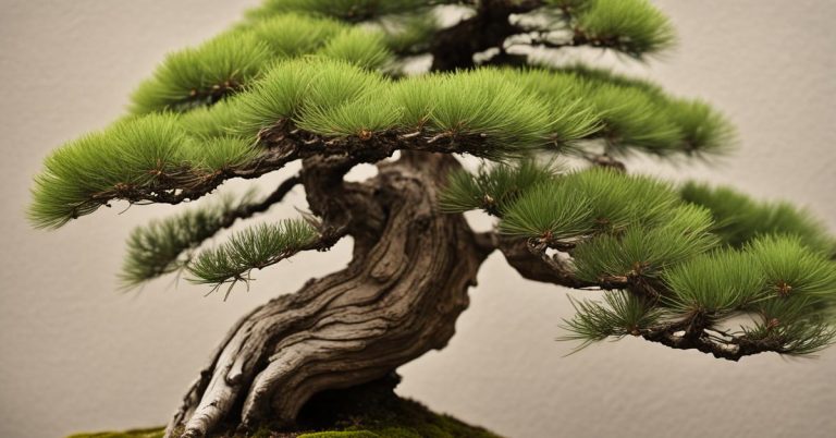 Sosna drobnokwiatowa bonsai (Pinus parviflora) – japoński akcent w Twoim domu