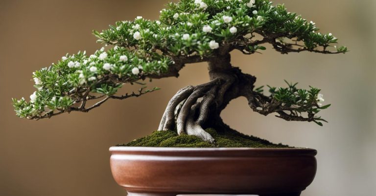 Carmona bonsai: urokliwe drzewko karmona drobnolistna, retusa i microphylla