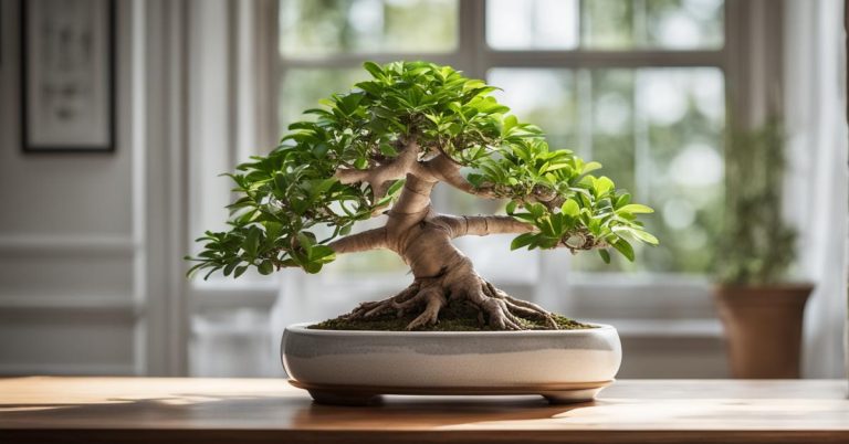 Bonsai drzewko w twoim wnętrzu: magia miniaturowego drzewa